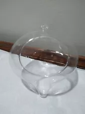 Hanging Glass Terrarium ~5" Diameter