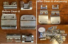 Professional Clipper Blade Sharpening Service - Andis, Oster, Wahl, Laube, Geib